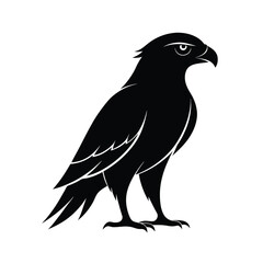 hawk vector on a white background.eps