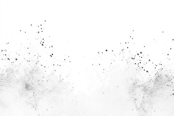 Obraz premium Abstract black and white powder explosion on white background