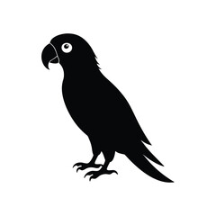 parrot bird.eps