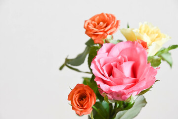 カラフルなばら