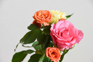 カラフルな花束