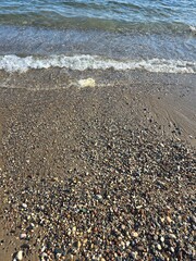sea, blue, sand, green, cat, nature, relaxe