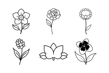 Set of Flower on white background.