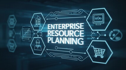 Enterprise Resource Planning: A Digital Business Strategy