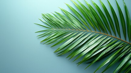 Obraz premium Palm leaf on blue background, copy space