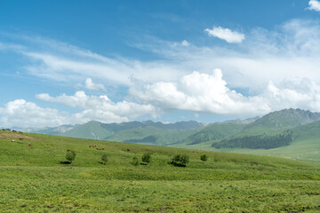 Bortala Sailimu Lake Scenic Area, Xinjiang Uygur Autonomous Region, China