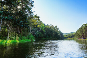 Beautiful destination nature lake and forest of Pang Oung lake and pine forest in Mae Hong Son, Thailand. Nature landscape. Environmental friendly outdoor activity and camping surrounded by valley.