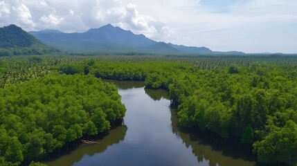Lush green wetlands with serene waterway, vibrant vegetation reflecting tranquility, ideal for nature conservation themes.