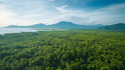Obraz premium Lush green landscape stretching under a bright sky, expansive forest with distant mountains, serene nature scene inviting exploration.