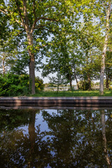 Sunny summer reflection of trees in calm water