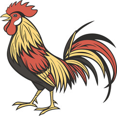 rooster isolated on white background