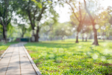 Blur park with sun light abstract background