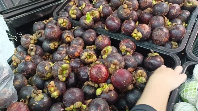 Mangosteen fruit has a very sweet and refreshing taste.