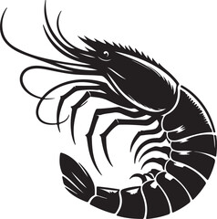 black and white Shrimp 