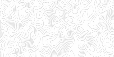 White topography topology vector white background fresh contour map texture. white seamless pattern Abstract background with a wave Topography and geography map grid abstract backdrop.