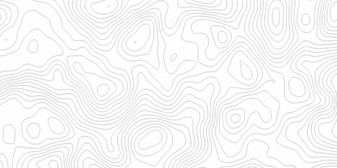 White topography topology vector white background fresh contour map texture. white seamless pattern Abstract background with a wave Topography and geography map grid abstract backdrop.