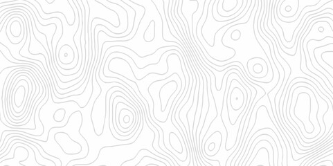 White topography topology vector white background fresh contour map texture. white seamless pattern Abstract background with a wave Topography and geography map grid abstract backdrop.