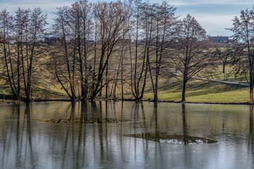 Kleiner See mit Bäumen am Ufer mit einer dünnen Eisdecke