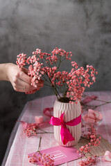 woman puts pink gypsophila sprigs in a pink ceramic vase, Birthday, Valentine's Day, pink...
