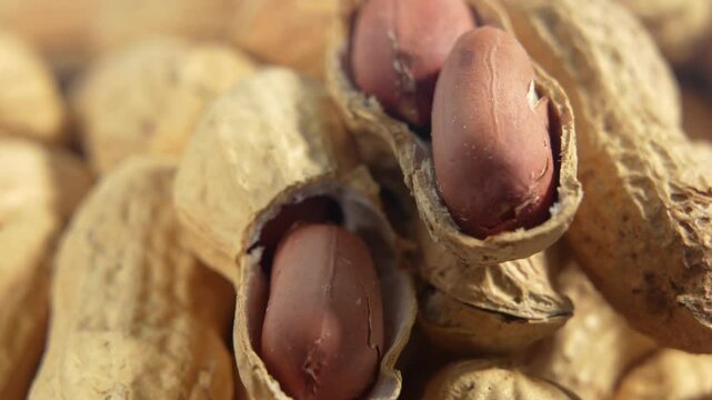 A bunch of peanuts, some of them open. The open peanuts are in the middle of the pile. The peanut is rotates.