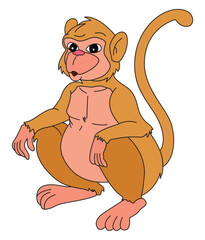 Monkey isolated on white background