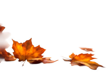 beautiful created abstract technology texture old board wooden orange yellow space generative natural wood maple leaf nature season fall red park tree forest table background leaves autumn ai