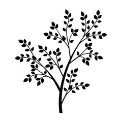 vector tree with leaves