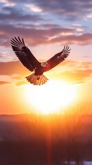 Majestic Eagle Soaring Against a Bright Sunrise with Vibrant Sky Colors and a Sense of Freedom and New Beginnings