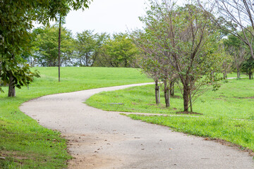 曲がりくねった小道と緑豊かな公園