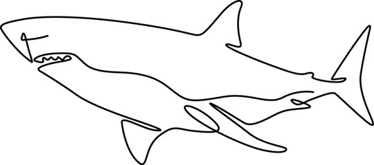 Continuous line drawing of Great White Shark minimalist artwork. 