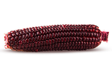 cob black, blue, violet corn isolated on white, transparent background. png file
