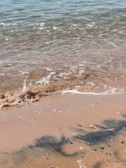 Serene Seashore with Clear Water
