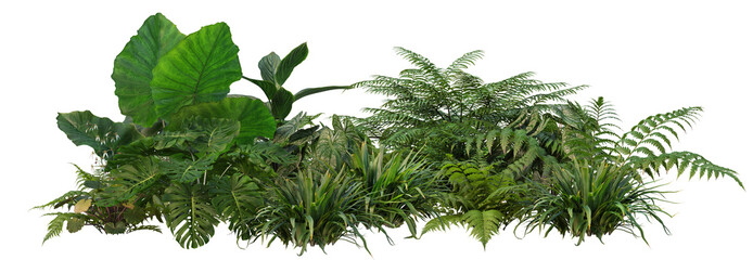 3d render small garden with plants and shrubs on transparent background.