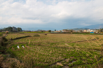 rural landscape with road in china