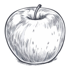 Engraved vintage vector illustration of apples with a sliced half and leaf. and-drawn style, perfect for classic designs