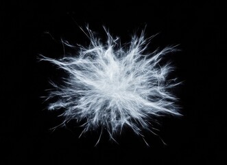 Fototapeta premium A white cloud of hair with a black background