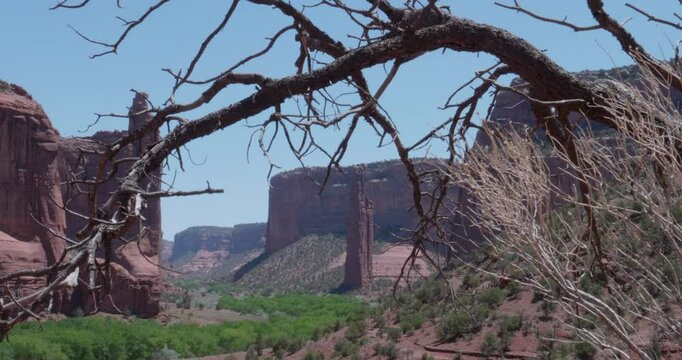 Spider Rock Canyon De Chelly Close up from Below with Tree