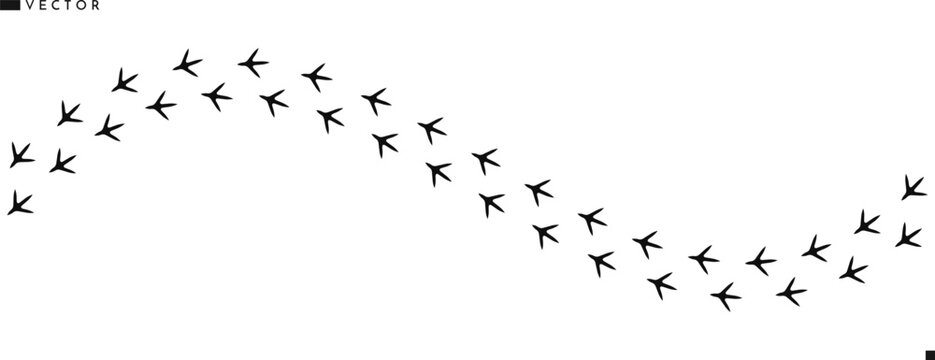 Turkey paw prints silhouette. Bird paw prints vector illustration  