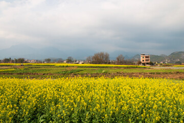 landcape of countryside in china
