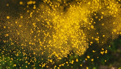 花粉が舞っている様子
