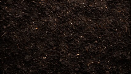 Dark Fertile Detailed Soil Surface Texture Background for Agricultural, Gardening and Environmental Projects.