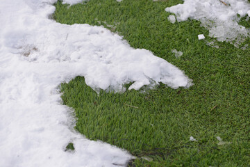 snow on turf
