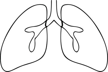 Human Lungs Respiratory System, Anatomy, Diagram, SingleLine Drawing, Healthcare, Medicine, Biology,