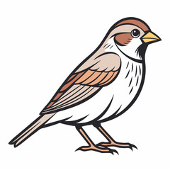 Simple a Sparrow line art vector white background