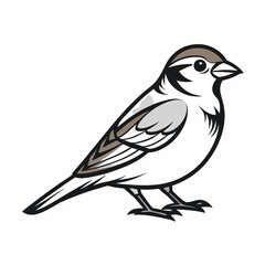 Simple a Sparrow line art vector white background
