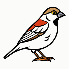 Simple a Sparrow line art vector white background