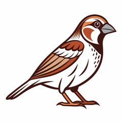 Simple a Sparrow line art vector white background