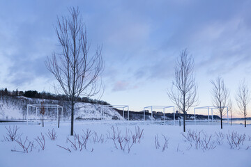 Series of bare trees and cubic structures in linear Samuel-de-Champlain park along the St. Lawrence...