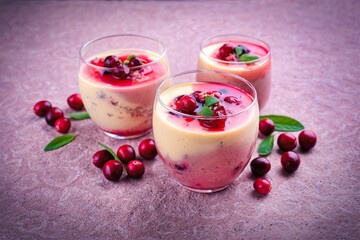 Vanilla cream dessert pudding with cranberry sauce topping served as close-up in a classical glass
