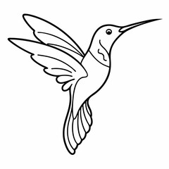 Simple a Kingfisher line art vector white background